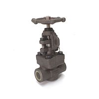 شیر سوزنی کلاس 800 npt -sw